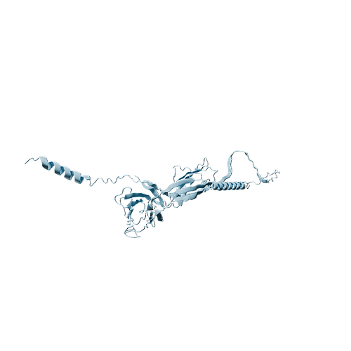 Mouse SLAMF1 (C-6His, HEK293)